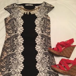 Wisp petites floral bodycon dress.